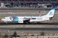 ©Alfonso Solís - Asociación Canary Islands Spotting. Click to see full size photo ©Alfonso Solís - Asociación Canary Islands Spotting. Click to see full size photo