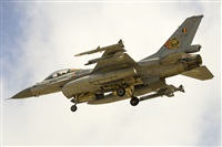 EC-ISM. Click to see full size photo