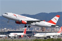 Miguel A. gueda Rguez.  (CANARY ISLANDS SPOTTING). Click to see full size photo
