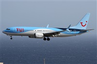 Alfonso Sols - Asociacin Canary Islands Spotting. Click to see full size photo