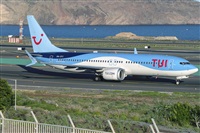 ©Adolfo Bento - Gran Canaria Spotters. Click to see full size photo ©Adolfo Bento - Gran Canaria Spotters. Click to see full size photo