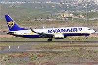 Miguel A. gueda Rguez.  (CANARY ISLANDS SPOTTING). Click to see full size photo