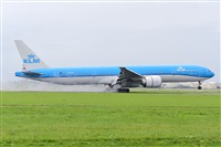 Miguel A. gueda Rguez.  (CANARY ISLANDS SPOTTING). Click to see full size photo