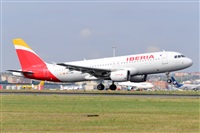 Miguel A. gueda Rguez.  (CANARY ISLANDS SPOTTING). Click to see full size photo