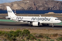 ©Adolfo Bento - Gran Canaria Spotters. Click to see full size photo ©Adolfo Bento - Gran Canaria Spotters. Click to see full size photo