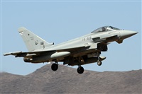 Alfonso Sols - Asociacin Canary Islands Spotting. Click to see full size photo