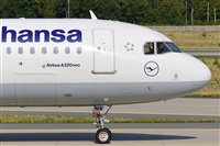 Miguel A. gueda Rguez.  (CANARY ISLANDS SPOTTING). Click to see full size photo