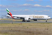 Miguel A. gueda Rguez.  (CANARY ISLANDS SPOTTING). Click to see full size photo