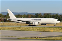 Miguel A. gueda Rguez.  (CANARY ISLANDS SPOTTING). Haz click para ampliar