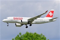 Miguel A. gueda Rguez.  (CANARY ISLANDS SPOTTING). Click to see full size photo