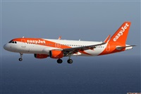 Alfonso Sols - Asociacin Canary Islands Spotting. Haz click para ampliar