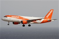 ©Alfonso Solís - Asociación Canary Islands Spotting. Click to see full size photo ©Alfonso Solís - Asociación Canary Islands Spotting. Click to see full size photo