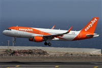 ©Alfonso Solís - Asociación Canary Islands Spotting. Click to see full size photo ©Alfonso Solís - Asociación Canary Islands Spotting. Click to see full size photo
