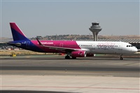 ©Alfonso Solís - Asociación Canary Islands Spotting. Click to see full size photo ©Alfonso Solís - Asociación Canary Islands Spotting. Click to see full size photo