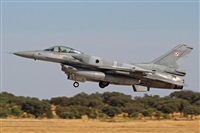 ©Juan Ojados. Click to see full size photo ©Juan Ojados. Click to see full size photo