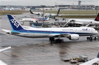 ©Román A. Pérez. Click to see full size photo ©Román A. Pérez. Click to see full size photo