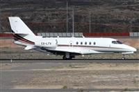 ©Alfonso Solís - Asociación Canary Islands Spotting. Click to see full size photo ©Alfonso Solís - Asociación Canary Islands Spotting. Click to see full size photo