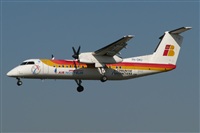 Rodrigo Carvalho - Noisy Spotters. Click to see full size photo