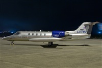 Javier de la Cruz - CANARY ISLANDS SPOTTING. Click to see full size photo