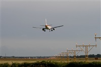 Rodrigo Carvalho - Noisy Spotters. Click to see full size photo