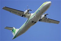 Chalo Canary Islands Spotting. Click to see full size photo