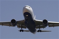 Jos Miguel Bernases - Noisy Spotters. Click to see full size photo