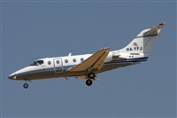 Jos Miguel Bernases - Noisy Spotters. Click to see full size photo