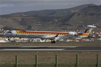 Ayoze Santana Mendez - Canary Islands Spotting. Haz click para ampliar