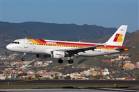 Miguel A. gueda Rguez.  (CANARY ISLANDS SPOTTING). Haz click para ampliar