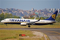 Alvaro Mijares (Seoul Spotting). Click to see full size photo