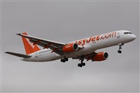 ©Alfonso Solís - Asociación Canary Islands Spotting. Click to see full size photo ©Alfonso Solís - Asociación Canary Islands Spotting. Click to see full size photo