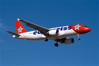 Javier de la Cruz - CANARY ISLANDS SPOTTING. Click to see full size photo