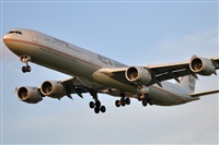 Rubn Gil - Noisy Spotters. Click to see full size photo