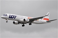 Rubn Gil - Noisy Spotters. Click to see full size photo