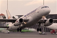 Javier de la Cruz - CANARY ISLANDS SPOTTING. Click to see full size photo