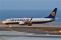 Miguel A. gueda Rguez.  (CANARY ISLANDS SPOTTING). Click to see full size photo