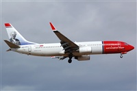 ©Luciano Fumero( freedom spotter)canary island spotting. Click to see full size photo ©Luciano Fumero( freedom spotter)canary island spotting. Click to see full size photo