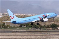 ©Alfonso Solís - Asociación Canary Islands Spotting. Click to see full size photo ©Alfonso Solís - Asociación Canary Islands Spotting. Click to see full size photo