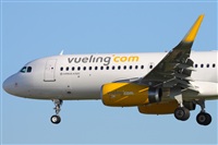 Miguel Alia - Noisy Spotters. Click to see full size photo
