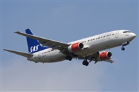 Miguel Alia - Noisy Spotters. Click to see full size photo