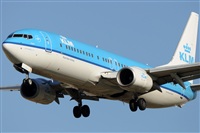 Rubn Gil - Noisy Spotters. Click to see full size photo