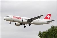 Miguel A. gueda Rguez.  (CANARY ISLANDS SPOTTING). Haz click para ampliar