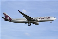 Miguel Alia - Noisy Spotters. Click to see full size photo