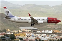 ©Adolfo Bento - Gran Canaria Spotters. Click to see full size photo ©Adolfo Bento - Gran Canaria Spotters. Click to see full size photo