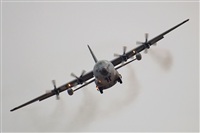 J. Victor Vega-Gran Canaria Spotters. Haz click para ampliar