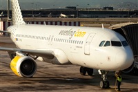 Javier de la Cruz - CANARY ISLANDS SPOTTING. Click to see full size photo