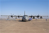 Fco Javier Garca Ruiz. Click to see full size photo
