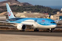 Javier de la Cruz - CANARY ISLANDS SPOTTING. Click to see full size photo