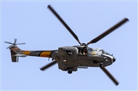 Bernardo Puente Fernndez-Gran Canaria Spotters - AIRE.org. Click to see full size photo