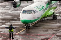 Javier de la Cruz - CANARY ISLANDS SPOTTING. Click to see full size photo